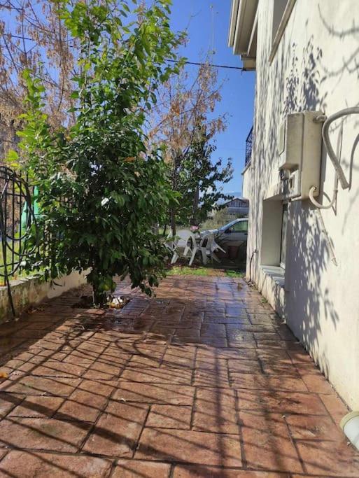 Apartment Trikala Home Trikala (Thessaly)