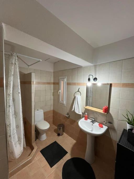 Apartment Trikala Home Trikala (Thessaly)